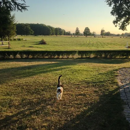 Nocleg ze śniadaniem Stadnina Red Lion Farm