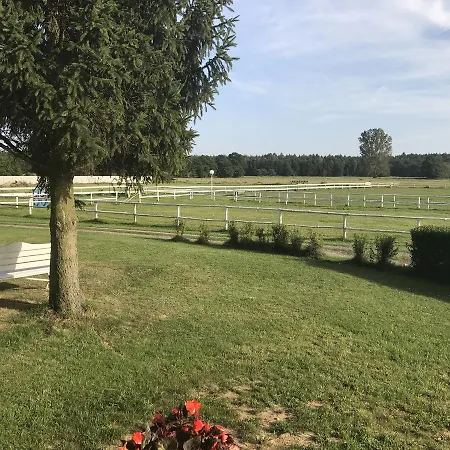 Stadnina Red Lion Farm
