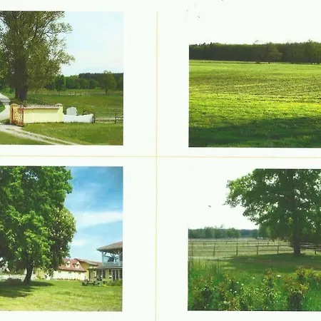 Stadnina Red Lion Farm *